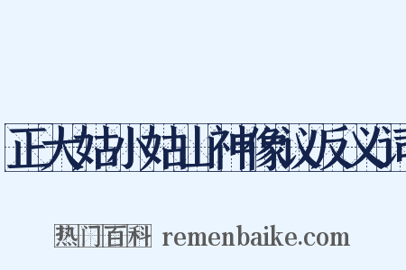 正大姑小姑山神像议反义词是什么意思的图片